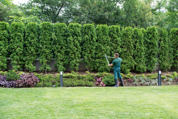 Soil Testing and Treatment in Danbury, CT
